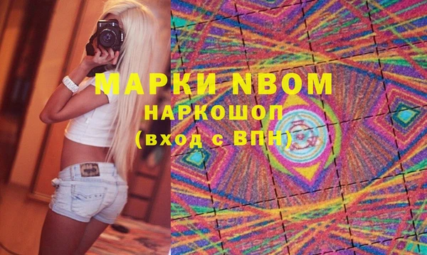 индика Нея