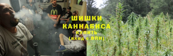 индика Нея