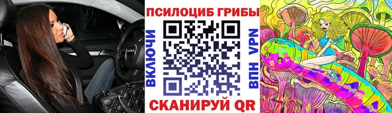 Псилоцибиновые грибы прущие грибы  Чусовой 