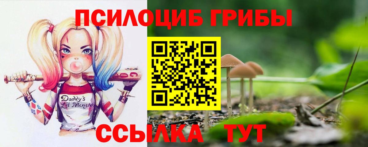 Галлюциногенные грибы мицелий Чусовой